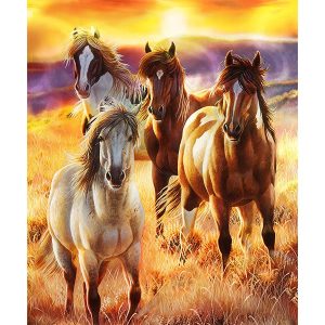 Medium Weight Signature Blanket - Queen - JQ Sunrise Beauties Horses 1702-7346
