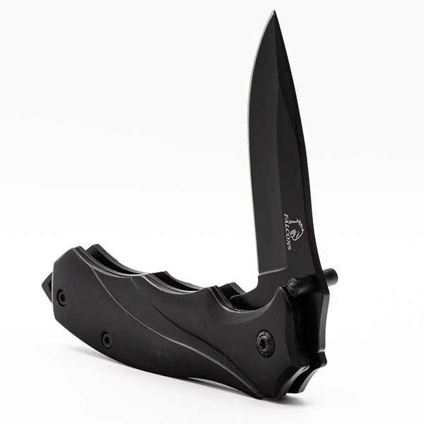 Bk distributor essay 05 picture