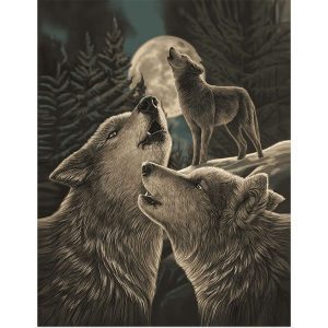 NT Wolf Song (1702-7739)