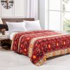 Silk Touch One Ply Queen Blanket Medicine Wheel w/Eagle Feather 2021(0587) - Image 2