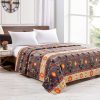 Silk Touch One Ply Queen Blanket Medicine Wheel w/Eagle Feather 2021(0587) - Image 9