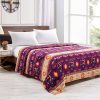 Silk Touch One Ply Queen Blanket Medicine Wheel w/Eagle Feather 2021(0587) - Image 6