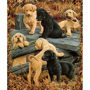 Playtime #7366, Signature Sherpa Lined Throw Blanket (1703-7366 PT)