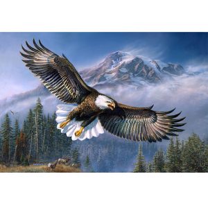 American Anthem #7411, Signature Sherpa Lined Throw Blanket (1703-7411 AA)