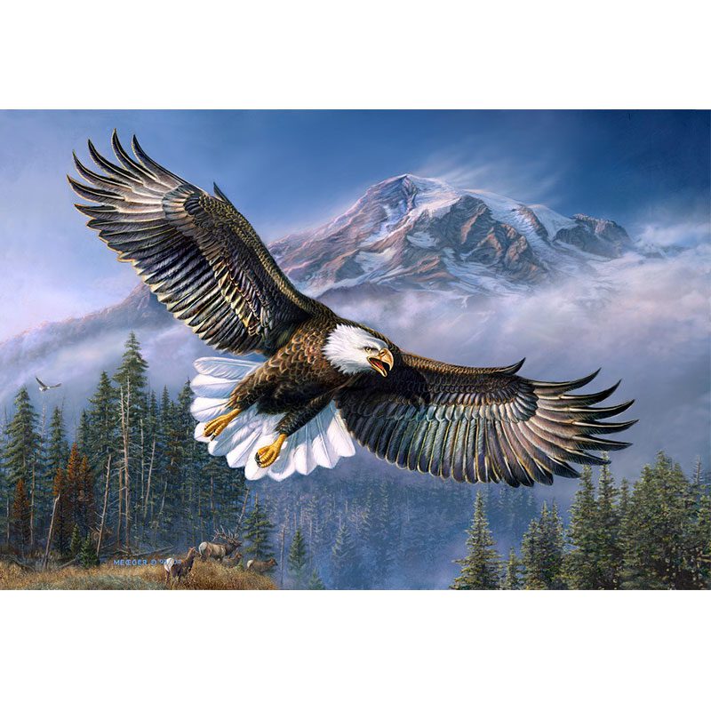 American Anthem #7411, Signature Sherpa Lined Throw Blanket (1703-7411 AA)