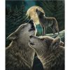 Lisa Parker Wolves Series Sherpa Lined Throw Blanket - Image 4