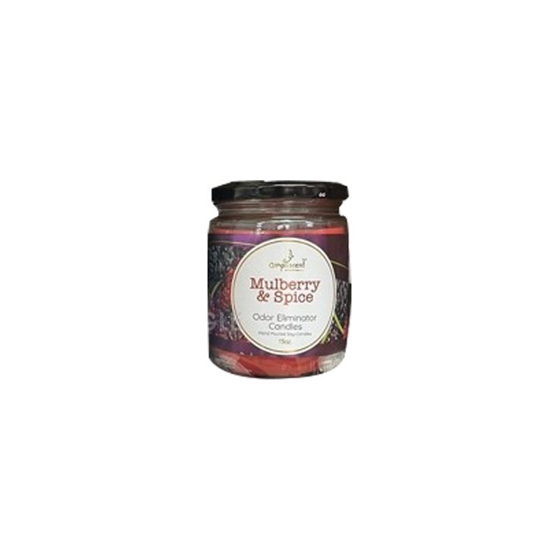 13Oz Ampliscent Candles Odor Eliminator - Mulberry & Spice - Image 3