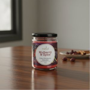 13Oz Ampliscent Candles Odor Eliminator - Mulberry & Spice