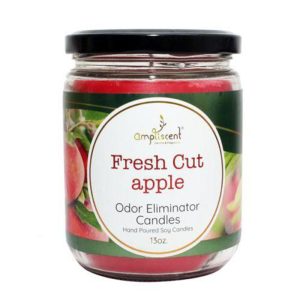 13Oz Ampliscent Candles Odor Eliminator - Fresh Cut Apple