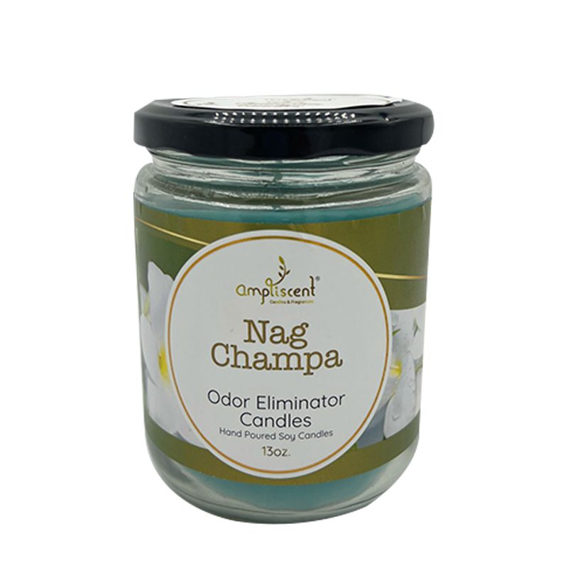 13Oz Ampliscent Candles Odor Eliminator - Nag Champa - Image 2