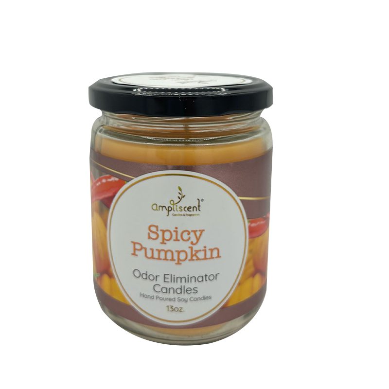 13Oz Ampliscent Candles Odor Eliminator - Spicy Pumpkin - Image 2