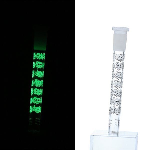 Slide Display Glow in the Dark (SL Display 001) - Image 26