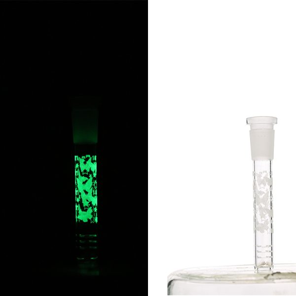 Slide Display Glow in the Dark (SL Display 001) - Image 9