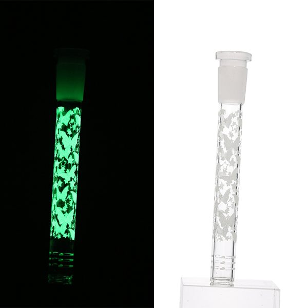 Slide Display Glow in the Dark (SL Display 001) - Image 23