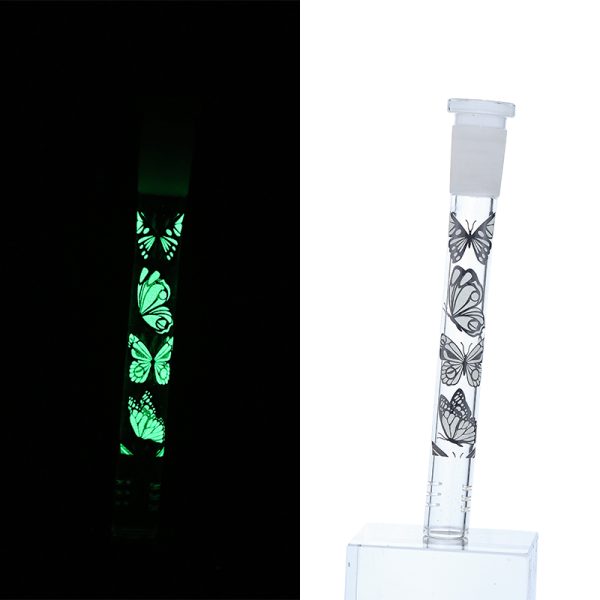 Slide Display Glow in the Dark (SL Display 001) - Image 24