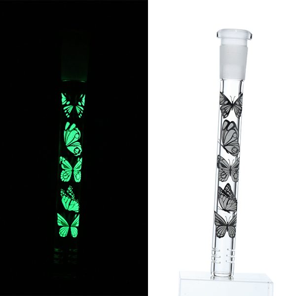 Slide Display Glow in the Dark (SL Display 001) - Image 39