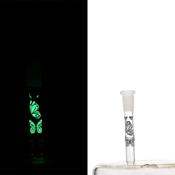 Slide Display Glow in the Dark (SL Display 001) - Image 10