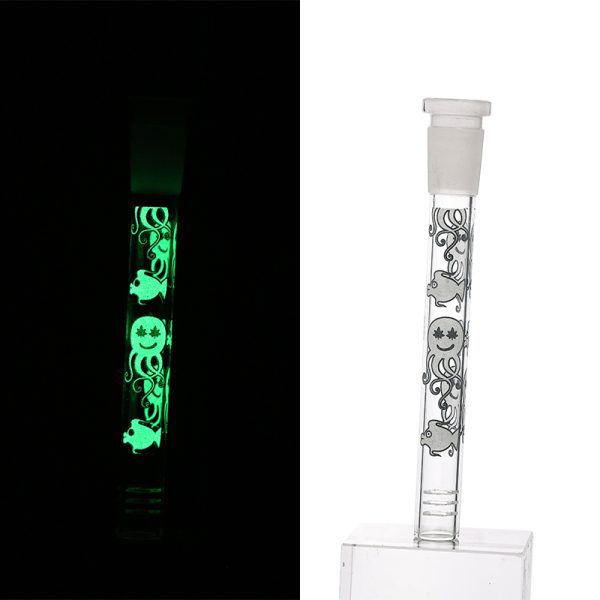Slide Display Glow in the Dark (SL Display 001) - Image 25