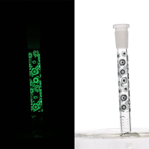 Slide Display Glow in the Dark (SL Display 001) - Image 27