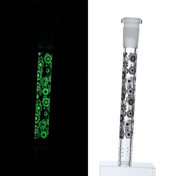 Slide Display Glow in the Dark (SL Display 001) - Image 30