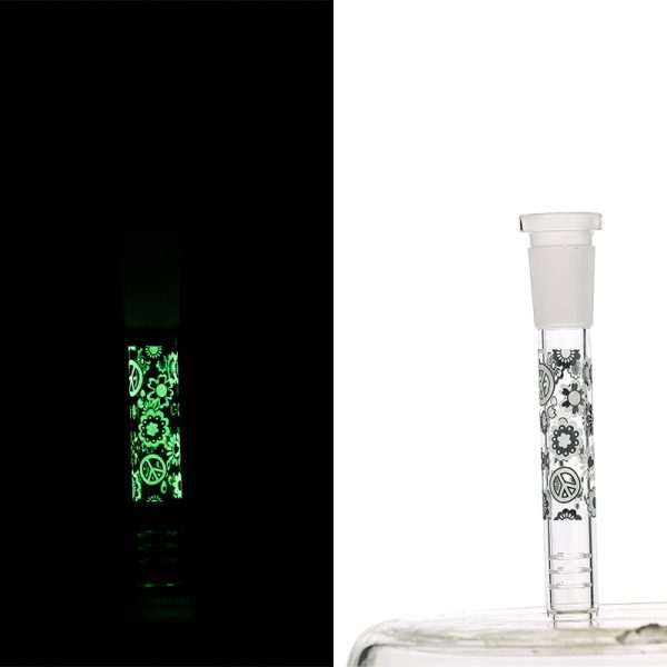 Slide Display Glow in the Dark (SL Display 001) - Image 13