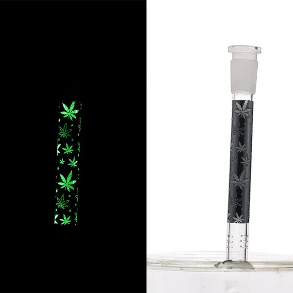 Slide Display Glow in the Dark (SL Display 001) - Image 17