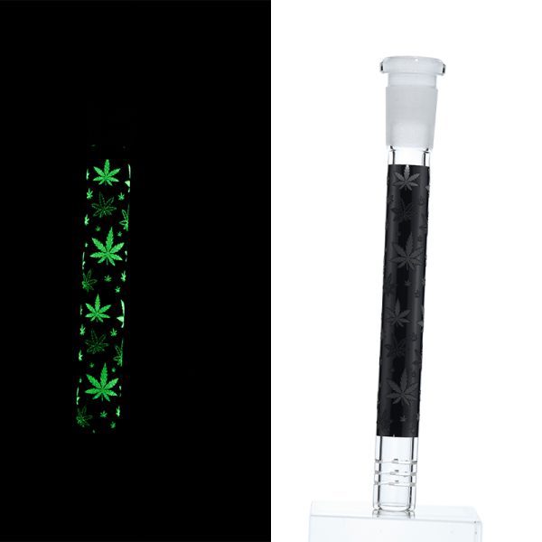 Slide Display Glow in the Dark (SL Display 001) - Image 32