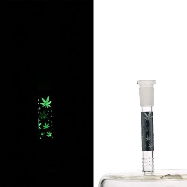 Slide Display Glow in the Dark (SL Display 001) - Image 15
