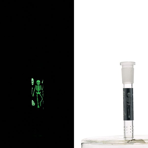Slide Display Glow in the Dark (SL Display 001) - Image 4