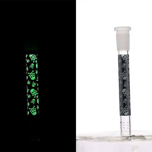 Slide Display Glow in the Dark (SL Display 001) - Image 19