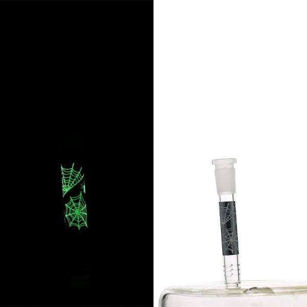 Slide Display Glow in the Dark (SL Display 001) - Image 6
