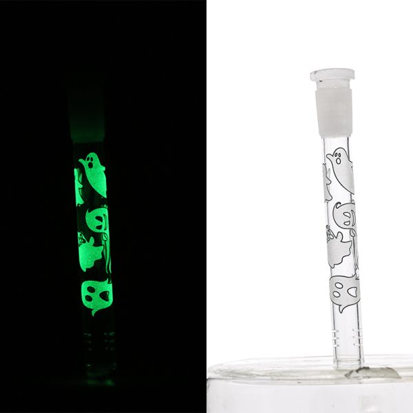 Slide Display Glow in the Dark (SL Display 001) - Image 21