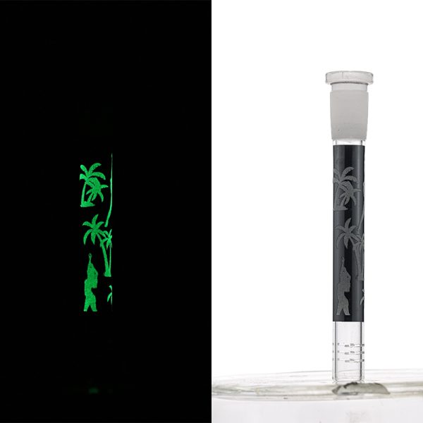 Slide Display Glow in the Dark (SL Display 001) - Image 22