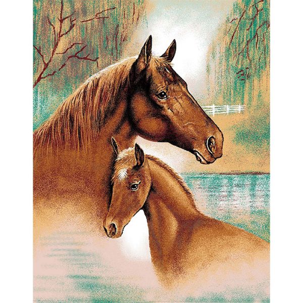 EL TORO Brand 1-Ply Queen Size Blanket - (1501-066)