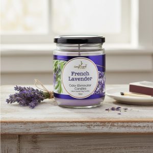 13Oz Ampliscent Candles Odor Eliminator - French Lavender