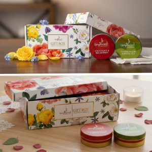 Ampliscent Candles Odor Eliminator - (Chocolate Red Apple+Sandalwood)