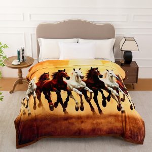 CD-Blanket 01