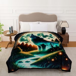 CD-Blanket 08